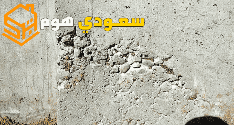 ِشركات معالجة التعشيش بالرياض